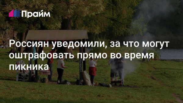 Штрафы и правила безопасности при пикнике в городе и на даче