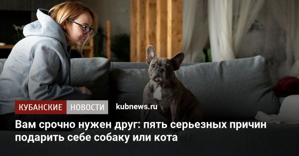 Влияние домашних животных на здоровье и продолжительность жизни