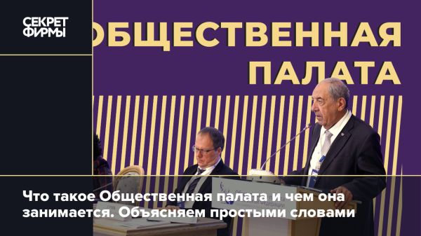 Общественная палата России её история и функции