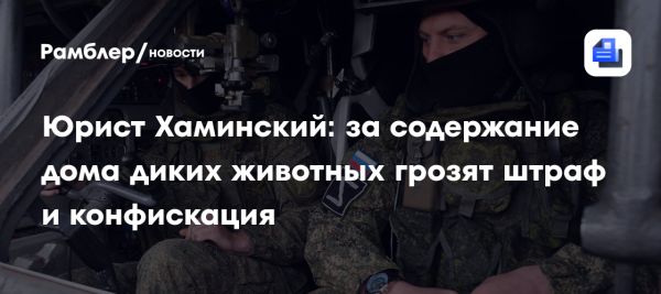 Риски содержания диких животных в домашних условиях