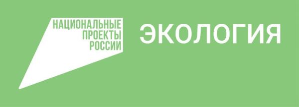 Национальный проект «Сохранение лесов» в Республике Мордовия