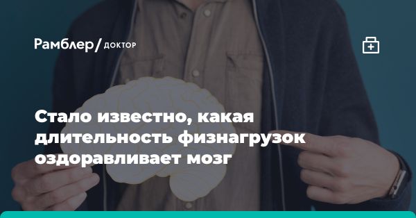 Физические упражнения и кровоток мозга: результаты исследования