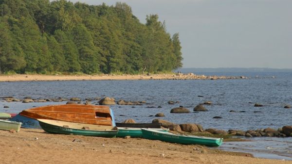 Отдых на природе как способ восстановления здоровья