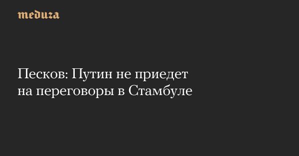 Путин не примет участие в переговорах с Украиной