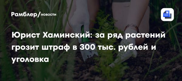 Ответственность за выращивание запрещённых растений в России
