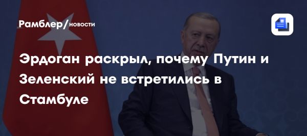 Эрдоган прокомментировал отсутствие встречи Путина и Зеленского