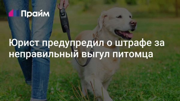 Штрафы за нарушение правил выгула животных в России
