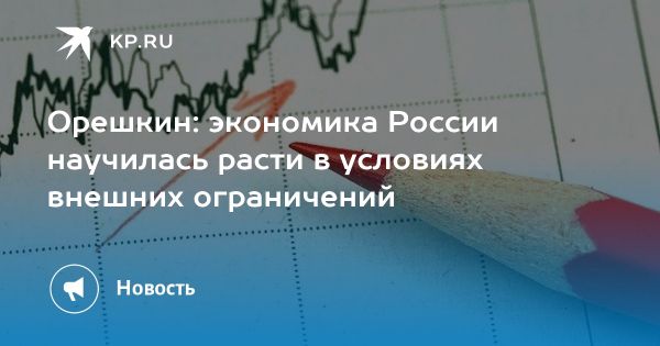 Российская экономика адаптируется к санкциям и демонстрирует рост