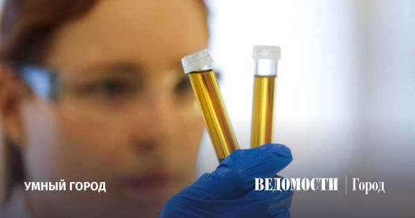 Поиск призвания и старение общества в современном мире