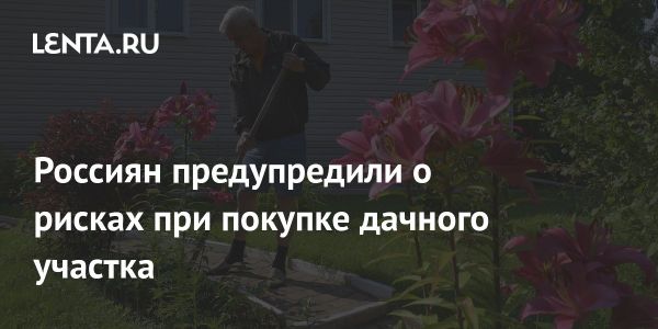 Как выбрать дачный участок правильно
