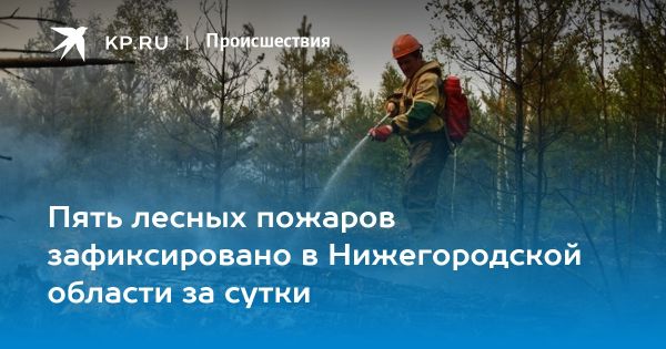 Пять лесных пожаров в Нижегородской области: меры и последствия