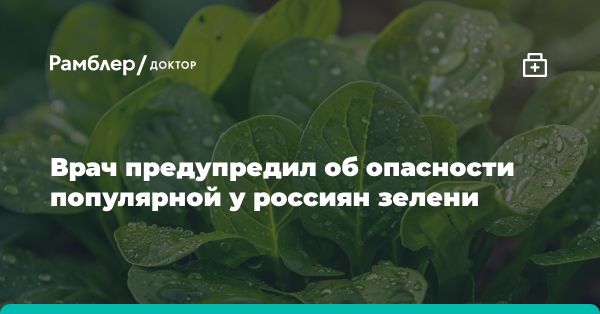 Осторожно: избыточное употребление щавеля и шпината