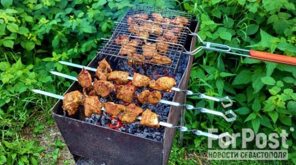 Противопожарные нормы для шашлыков на даче