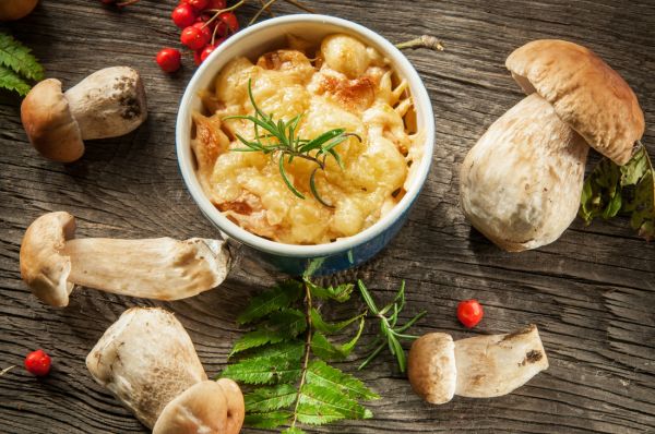 Рецепт классического жульена с курицей и грибами