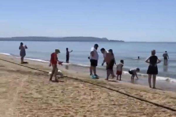 Анапа продолжают купаться в загрязненном Черном море несмотря на запреты