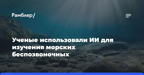 Исследование влияния морских беспозвоночных на экосистемы