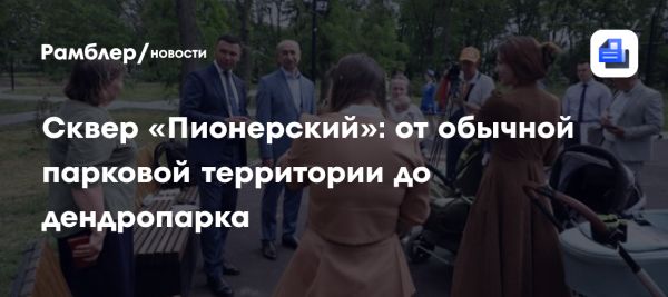 Преображение сквера Пионерский в Ростове-на-Дону