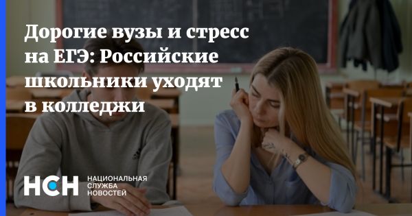 Рост популярности колледжей в России: причины и последствия