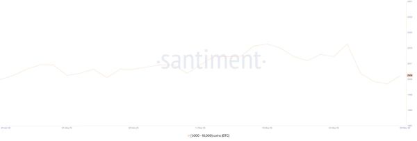 Снижение цены биткоина и медвежий прогноз на ближайшую перспективу
