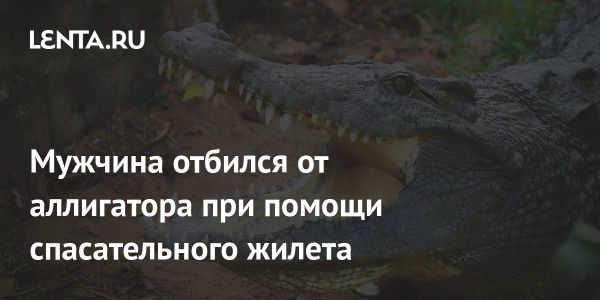 Атака аллигатора на каякеров в Национальном парке Лейк-Киссимми