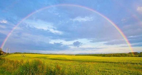 Память Владимирской иконы Божией Матери и Оленин: 3 июня 2024 года