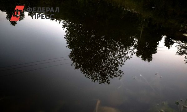 Трагедия в городе Камышлов: утонул маленький мальчик