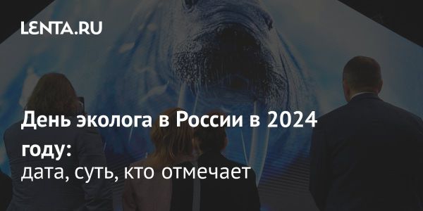 День эколога в России: защита природы и международные инициативы