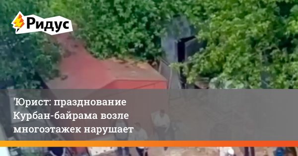 Комментирование инцидента с разделкой коровы в Подольске
