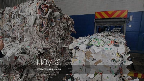 Инновации в области переработки отходов: зеленые патенты в России