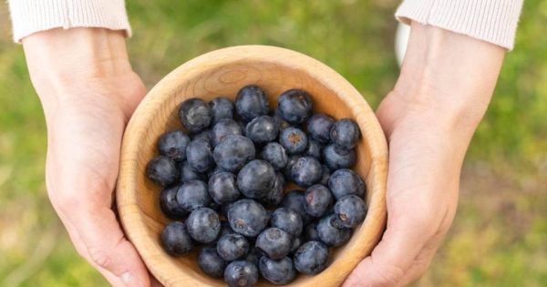 Важные продукты для здорового питания и профилактики болезней