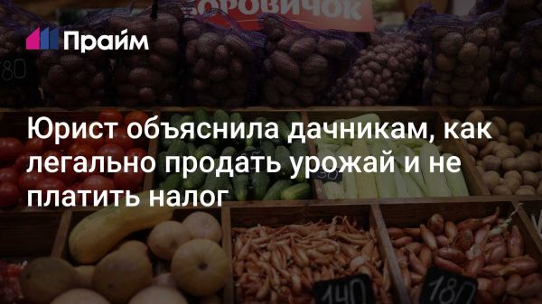 Безналоговая продажа овощей и фруктов с дачи