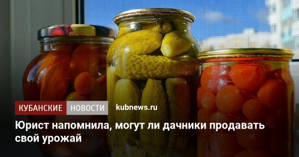 Правила продажи овощей и фруктов с собственного участка без налогов