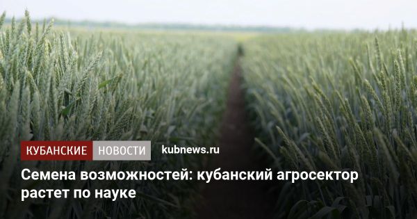 Кубанские аграрии и наука: совместные усилия для прогресса в земледелии