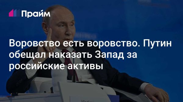 Реакция Путина на заморозку активов: международные отношения и конкуренция