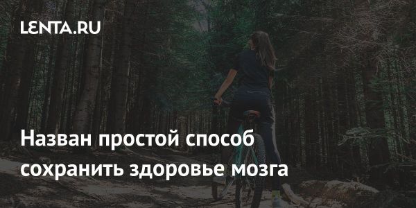 Велосипедные поездки снижают риск деменции и болезни Альцгеймера