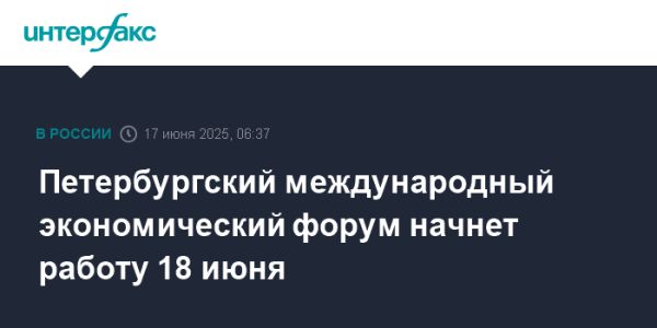 Петербургский международный экономический форум 2025