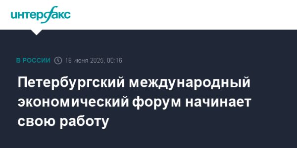 Петербургский международный экономический форум ПМЭФ 2025