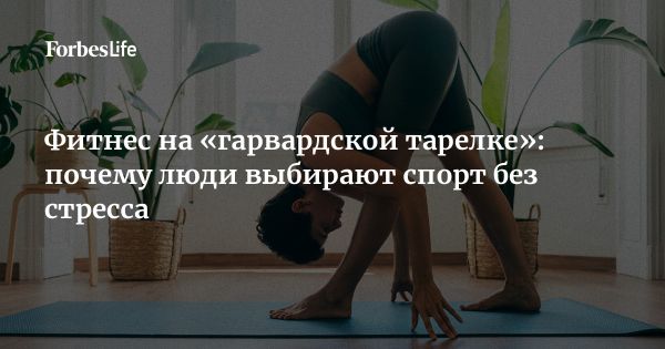 Спорт как путь к гармонии тела и души