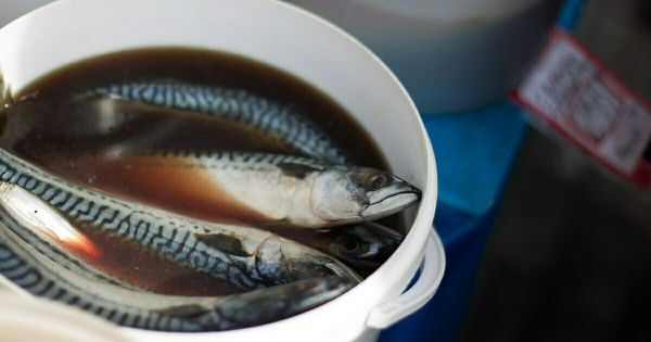 Русский рыбный салат Индигирка из Якутии