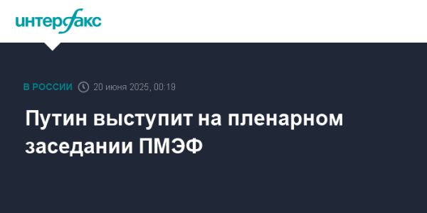 Выступление Путина на Петербургском международном экономическом форуме