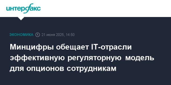 Новая модель опционов для IT-компаний России
