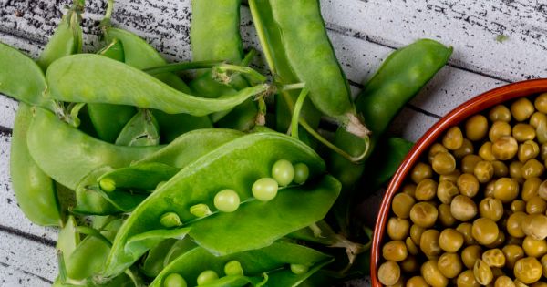 Польза зеленого горошка для здоровья и настроения
