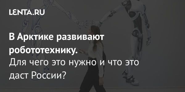 Рост числа выпускников по информатике в Арктике и развитие образовательной инфраструктуры