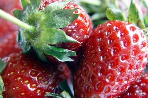 Рецепт классической шарлотки с клубникой