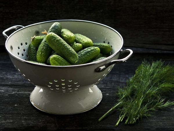 Рецепт хрустящего салата из огурцов с чесноком и укропом