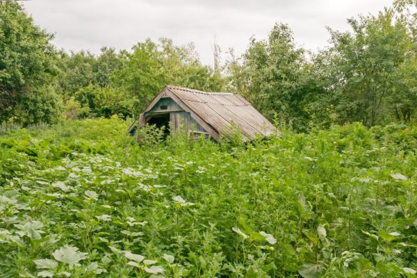 Проблема неиспользуемых земельных участков в России