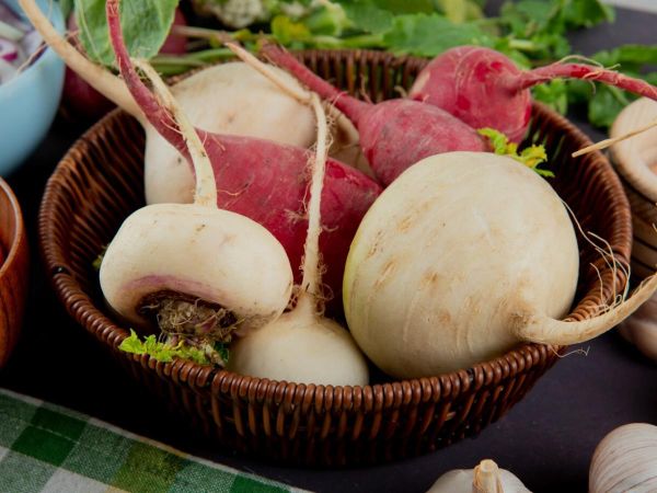 Интересные и легкие рецепты для гостей