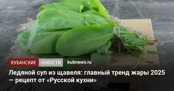 Обсуждения о запрете алкоголя и советы по огородничеству