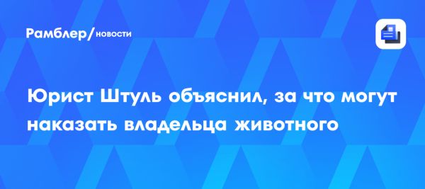 Ответственность владельцев домашних животных в России