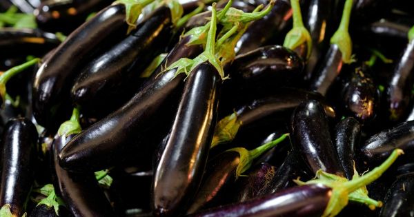 Лучшие рецепты салатов из баклажанов для диетического питания